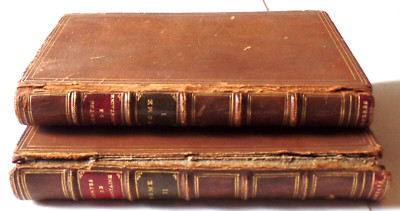 Antique 1800's Set of 2 CONTES DE LA FONTAINE Leather with Gold Leaf Hardcovers-image