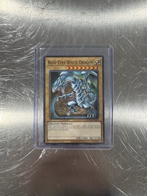 🔥 COMMON Yugioh Blue-Eyes White Dragon SDWD-EN002-image