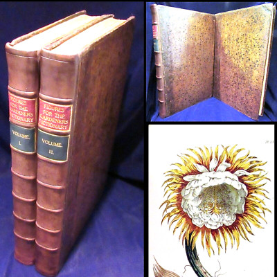 1760 GARDENER DICTIONARY MILLER 1ST EDITION 2V 300 HAND COLOR ILLS BOTANY FLOWER-image
