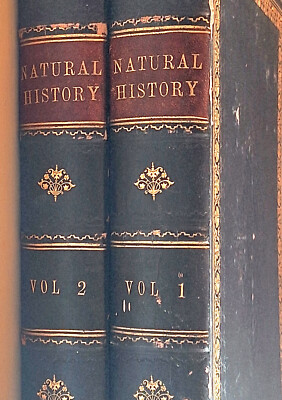 Museum of Natural History 1860 Vol I & II Antique Leather Bound  JW Lowry Engrav-image