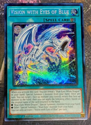 Yugioh - Blue-Eyes VISION WITH EYES OF BLUE SECRET RARE Holographic 1ST Edition-image