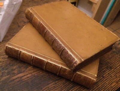 Curiosities of Natural History. - 2 Vol Set 1873 BUCKLAND Leather REDUCED-image