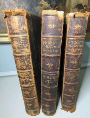 1885 Complete 3 Vol. ANIMATE CREATION JG Wood - Mammalia Birds Fishes & Reptiles-image