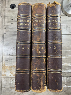1875-79 Large Antique Illustrated Book Set 