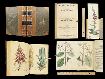1829 FLOWERS 1ed Flora Medica Botany Medicine Color Illustrated 2v SET Spratt-image