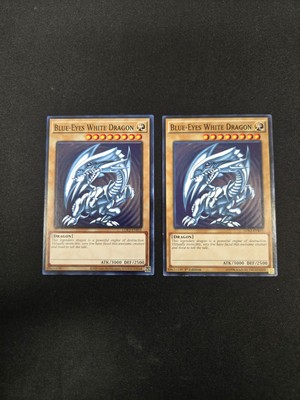 (NM+LP) Blue-Eyes White Dragon (Version 2) LDK2-ENK01, x2-image