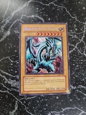 YU GI OH   blue - eyes white dragon-image