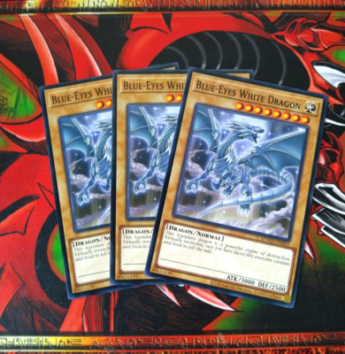 x3 Blue-Eyes White Dragon - SDWD-EN003 - Common - Misprint Edition Yugioh NM-image