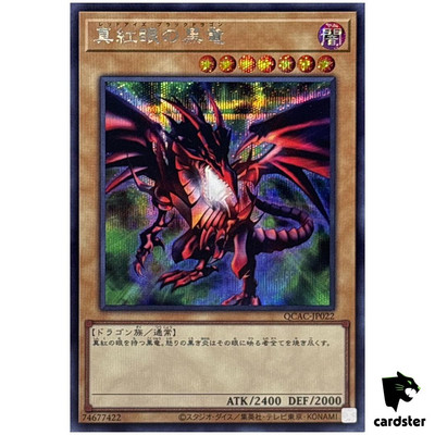 Red-Eyes Black Dragon [1] QCAC-JP022 [ScR] Secret Art Yugioh-image
