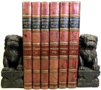 BRITISH BIRDS Large Leather Set COLOR PLATES Ornithology EGGS Illustration NESTS-image