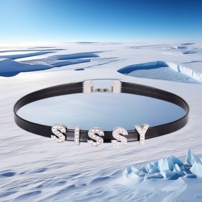 Pu Leather Collar Choker Necklace Jewelry BDSM Gifts Custom Gothic DIY Letters-image