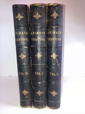 1885 Animate Creation 3 Vol. Book Set Rev. J.G. Wood Antique Chromolithographs-image