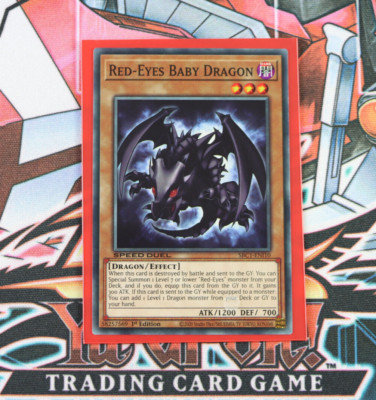YuGiOh Red-Eyes Baby Dragon SBC1-ENI10 1st Edition Common-image
