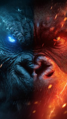 Godzilla Vs Kong Vinyl Car Decal Sticker – Waterproof & UV-Resistant-image