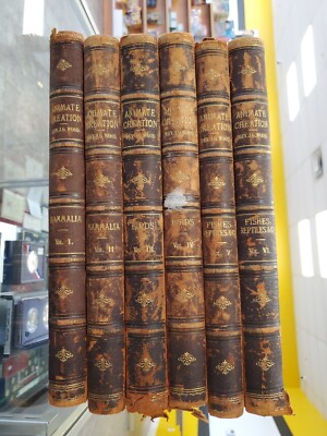 1885 Animate Creation Complete 6 Vol. Book Set Rev. J.G. Wood Antique Used-image