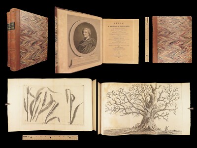 1812 John Evelyn SYLVA Forest TREES Forestry Illustrated Plants Botany 2v SET-image