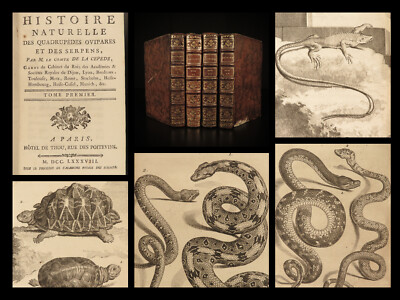 1788 1ed Natural History of SNAKES Lacepede Serpents Lizards Reptiles 4v Set-image