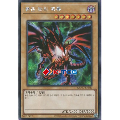 Yugioh Card 