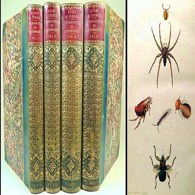 1828 NATURAL HISTORY INSECTS KIRBY SPENCE 4VL SET ENTOMOLOGY BUG SPIDER LEATHER-image