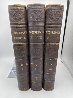 1875 Vol 1,2 & 3 Picturesque Europe Leather Bound Antique-image