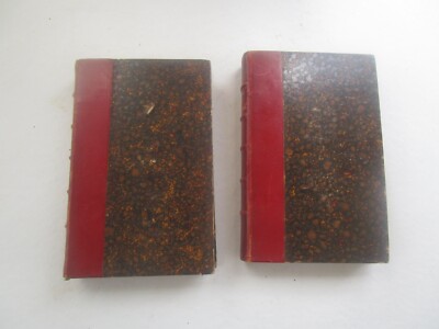 Antique 2 Vol Set Leather Bound Books Sans Famille by H Malot Paris 1st Ed Illus-image