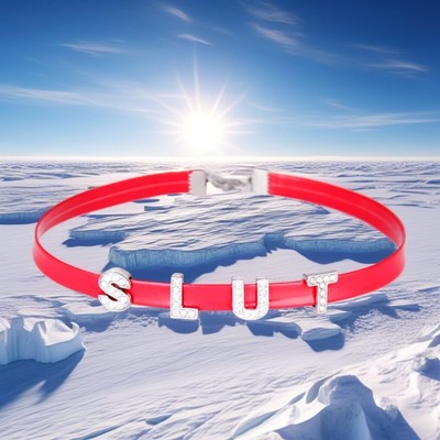 BDSM Gift Choker Luxury Custom DIY Pu Leather Collar MONSTER BABY GIRL Necklace-image