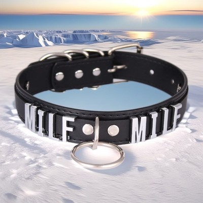 O-Ring   Collar Choker Leather Punk Custom Letter Buckled Necklace Lucky Comfort-image