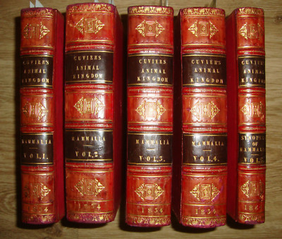 1834 CUVIER ANIMAL KINGDOM MAMMALIA 5 VOL SET COLOR, GRIFFITH LEATHER IN ENGLISH-image