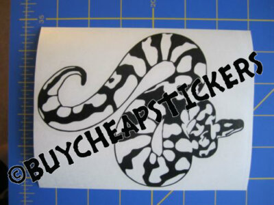 Ball Python Decal -image