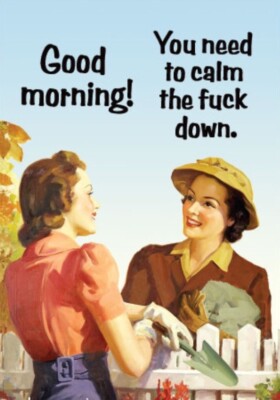 Good Morning! You Need To Calm The Fu”” Down, On A 2”x3” Metal Fridge  Magnet-image