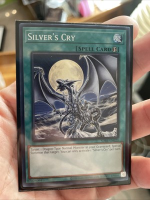 Holo Silver’s Cry SDBE-EN020. Saga Of The Blue Eyes White Dragon YuGiOh. Card NM-image