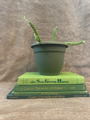 Decorative Book Bundle Lot 4📚Green Blue Tones Home Decor -image