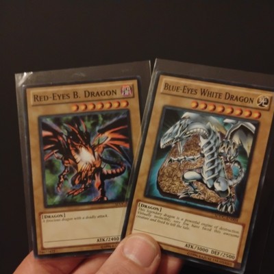Yu Gi Oh-Blue Eyes White & Red Eyes Black Dragon-image