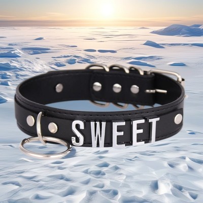 Collar Choker DIY Necklace Custom MISTRESS Circle Pendant Pu Leather BDSM Gift-image