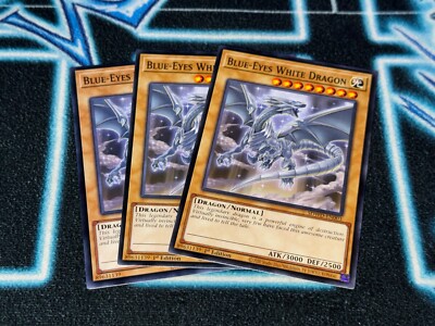 Blue-Eyes White Dragon x3 - SDWD-EN003 - Common-image