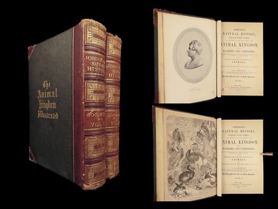 1871 Natural History ANIMALS Darwin Huxley Illustrated 2v SET Goodrich & Johnson-image