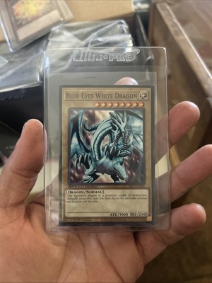 Blue-Eyes White Dragon SBCB-EN087 Speed Duel: Battle City finals Box 1st Edition-image