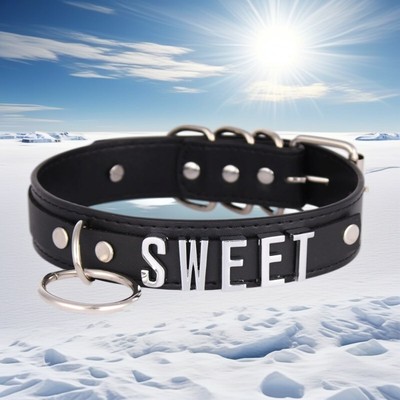 Custom Necklace Collar Circle Pendant BDSM Gift Pu Leather DIY Choker-image