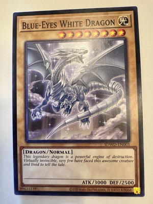 Blue-Eyes White Dragon | SDWD-EN003 | Common | SD: Blue-Eyes White Destiny-image