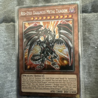 Red-Eyes Darkness Metal Dragon (Platinum Secret Rare)-image