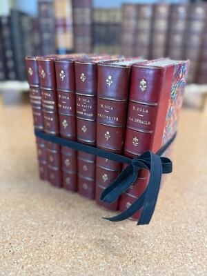Red Antique Leather 6 Book Set - E. Zola - French -Design / Staging / Collecting-image
