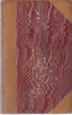 LIFE OF MICHAEL ANGELO. Herman Grimm. 1879 2 volumes leather binding-image