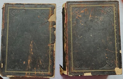 Funk & Wagnalls Vintage 2 Volume Dictionary Set 1907 Color Plates-image