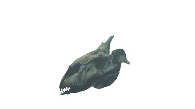 Gigantic Godzilla Skull Vinyl Car Decal Sticker – Waterproof & UV-Resistant-image