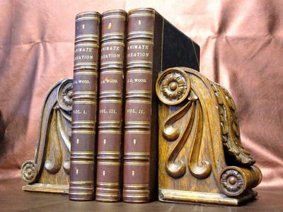 1885 ANIMATE CREATION 3 Vol Set ILLUSTRATED Color Plates FOLIO Zoology HISTORY-image