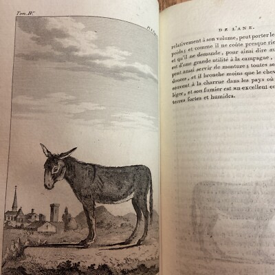 1800 Histoire Naturelle De Buffon 10 volume set; Natural History-image