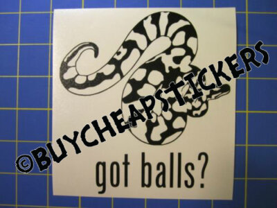 Ball Python Got Balls Decal -image