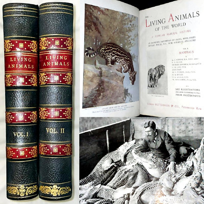1901 LIVING ANIMALS OF THE WORLD 1ST ED 2VL SET 1210 ILLS NATURE ANIMAL BIRD DOG-image