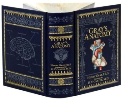 Collectible GRAY'S ANATOMY Leather Bound by Henry Gray Illustrated-SEALED NEW-image