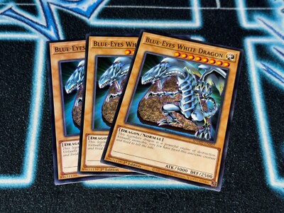 Blue-Eyes White Dragon x3 - SDWD-EN002 - Common-image